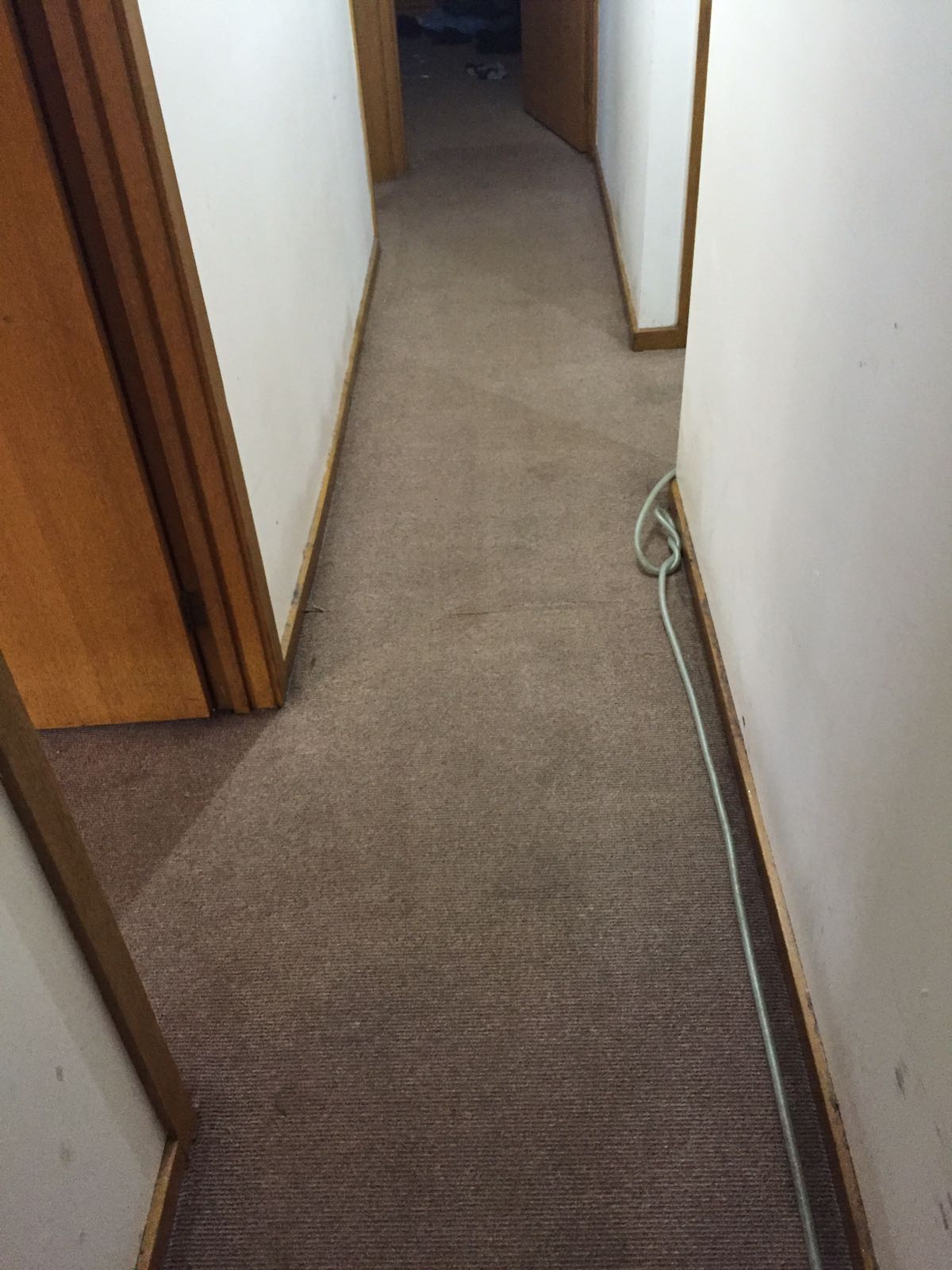 carpet-after-2 carpet-after-2