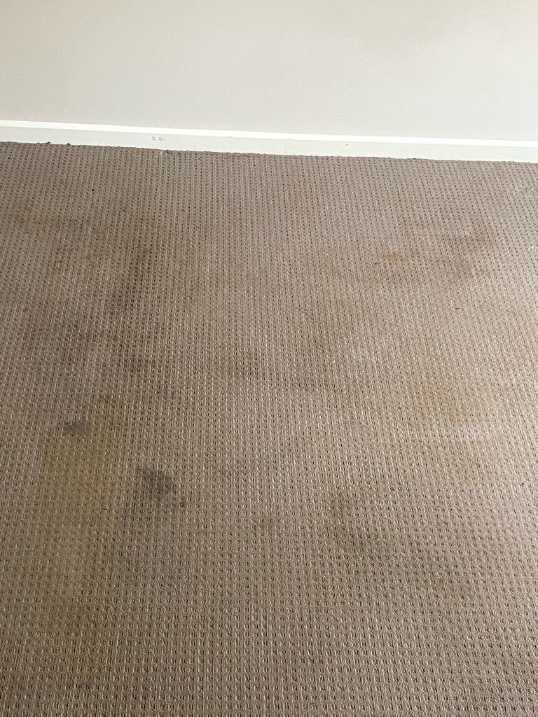 carpet-before-1 carpet-before-1