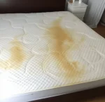 yellow-stain-removal yellow-stain-removal